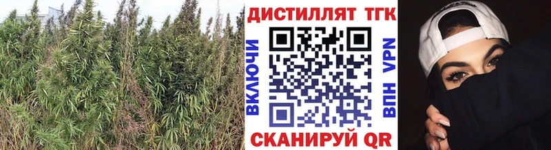 ТГК вейп Сызрань